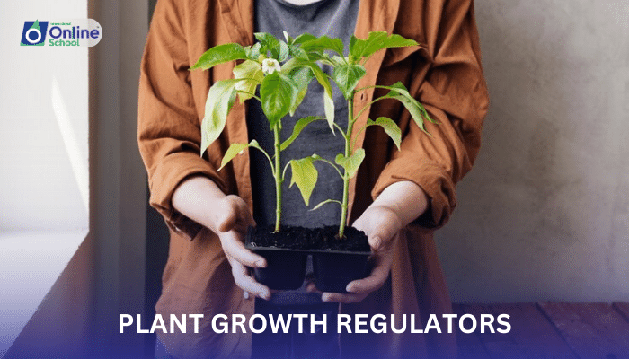 Lesson 22: Plant Growth Regulators